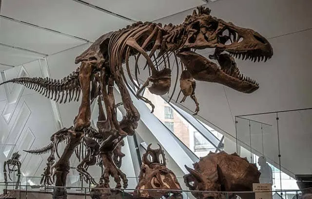 Πώς εξαφανίστηκαν όλοι οι δεινόσαυροι από τη Γη;